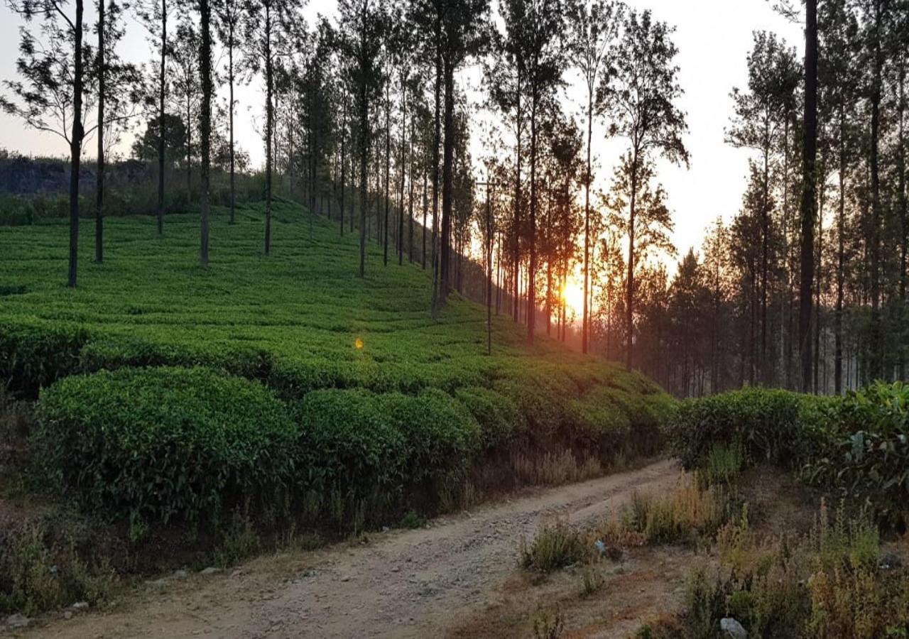 Glad Valley Wayanad By Lexstays-Tea Estate Villa Exterior photo